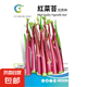 蔬菜種子四季菜籽菜種子陽(yáng)臺(tái)菜園播種 紅菜苔種子800粒 紅菜苔種子800粒1包+肥料
