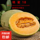曉蜜18號(hào)新鮮爆甜哈密瓜現(xiàn)摘高質(zhì)量哈密瓜產(chǎn)地包郵 凈重:5斤
