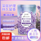 薰衣草精油洗衣凝露 衣物柔順劑持久留香 護(hù)色防串色洗衣液 【體驗(yàn)裝】薰衣草450g*1袋