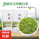 正宗安吉珍稀白茶新鮮嫩芽特級(jí)散裝雨前高山白茶濃香綠茶毛峰袋裝 125克*2袋
