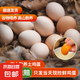 農(nóng)家散養(yǎng)谷物土雞蛋50克/枚 10枚