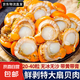 【新貨上市】特大號(hào)扇貝肉純野生海捕新鮮扇貝冷凍海鮮帶冰保鮮 扇貝肉400g*3