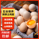 京喜加新鮮雞蛋土雞蛋農(nóng)家五谷喂養(yǎng)溏心蛋現(xiàn)撿現(xiàn)發(fā)早餐買菜40g左右包郵 【限量速搶】鮮雞蛋30枚