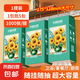 【百萬銷量】向日葵油畫系列1000張懸掛式抽紙衛(wèi)生紙4層加厚 熱賣 4層 1000張*1提