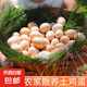 新鮮土雞蛋農(nóng)家散養(yǎng)五谷喂養(yǎng)生鮮溏心蛋水煮蛋早餐超市 6枚