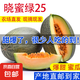 曉蜜25號(hào)爆甜哈密瓜新鮮現(xiàn)摘應(yīng)季水果西州蜜 凈重：5斤