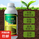 菌立清植物通用菌劑殺菌滅菌營養(yǎng)液真菌細菌病毒生物抑制高效防護 菌立清500g*1瓶