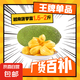 越南菠蘿蜜正宗進(jìn)口鮮果香甜可口果王稀缺脆甜帶皮出果肉40%左右 帶皮切塊果肉1.5斤-2斤