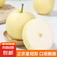 趙州皇冠梨河北皇冠梨脆甜多汁小花皮【二】 皇冠梨凈重2.5斤特惠裝