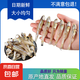 小魚干 公干魚海燕魚 自制風(fēng)干海鮮干貨 500g