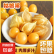 姑娘果東北洋菇娘果黃燈籠果 新鮮水果薄皮自然熟【現(xiàn)貨速發(fā)】 帶箱5斤 中果5-8g
