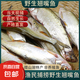 微山湖漁民捕撈野生翹嘴魚凈膛400g/袋 400g*3袋