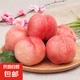 正宗山西蜜桃水蜜桃當季新鮮孕婦水果脆甜多汁產(chǎn)地直發(fā)華北強 帶箱9斤【凈重8.5斤】單果100g+