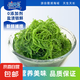 新鮮龍須菜 鹽漬鹿角菜石花菜 海藻火鍋食材 綠龍須菜5斤(500g*5袋)