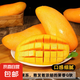 海南三亞新鮮水果 金煌芒果應當季生鮮 帶箱1斤 中大果【單果140g+】