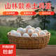 京喜加土雞蛋 新鮮雞蛋 山林自養(yǎng)雞蛋40g正負(fù)5g早餐買菜溏心蛋京東包郵 鮮雞蛋10枚