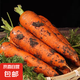 京喜加新鮮現(xiàn)挖現(xiàn)發(fā)胡蘿卜農(nóng)家自種蔬菜水果沙地紅蘿卜 帶泥胡蘿卜2斤 含箱
