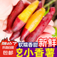 2025年現(xiàn)挖小香薯新鮮番薯板栗紅薯地瓜軟糯金手指拇指蔬菜包郵 9斤【約30~90根】源頭直采包郵