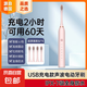 【明星推薦】電動(dòng)牙刷磁懸浮成人充電 小米平替聲波全自動(dòng)智能防水軟毛精致奢華情侶款牙刷 標(biāo)準(zhǔn)版少女粉【4支杜邦刷頭】6檔模式