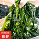 大連 鮮海帶 裙帶菜 海帶嫩苗兒童海白菜 海藻菜 裙帶菜葉3斤