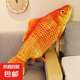 網(wǎng)紅仿真魚玩偶公仔寵物玩具鯉魚抱枕魚枕頭毛絨玩具女生男生睡覺 紅鯉魚 35厘米
