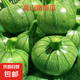 新鮮嫩南瓜小圓瓜小南瓜綠皮圓瓜西葫蘆生鮮時(shí)令新鮮蔬菜京東物流 現(xiàn)摘嫩南瓜 4斤 家庭款