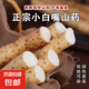 新鮮河北正宗小白嘴山藥鐵棍山藥麻山藥藥食同源輔食山藥 小白嘴山藥1000g 20cm-30cm/根