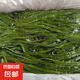 鮮海帶 鹽漬海帶絲 海帶涼拌菜鮮嫩 鹽漬海帶絲1.5kg