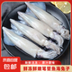 新鮮速凍筆管魚(yú) 鮮嫩海捕海兔小管魷魚(yú) 連云港產(chǎn)地直發(fā) 2500g(凈重)  5斤5包