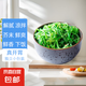 即食裙帶菜 海草絲海藻沙拉開胃涼菜海白菜 芥末裙帶菜 200g*5袋