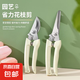 修枝剪全套園藝剪園林彎頭花園剪刀摘果剪彈簧手動工具剪刀 園藝修枝剪【1把】彎剪