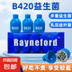 Rayneford小藍瓶B420益生菌即食瘦子菌益生元體重管理官方正品 五盒（共50瓶）