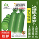 蔬菜種子四季播盆栽陽臺庭院香菜生菜菠菜蘿卜蔥簡單易種籽孑大全 冰糖脆水果蘿卜約300粒