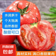 新鮮沙瓤大番茄生吃西紅柿減肥早餐即食新鮮蔬菜生鮮單果＞100g 家庭裝 4斤 凈重