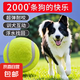 狗狗玩具球邊牧柯基金毛逗狗遛狗訓(xùn)犬專用耐咬磨牙小狗寵物狗網(wǎng)球 寵物狗網(wǎng)球-黃色-1個(gè)