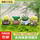 迷你仿真多肉小盆栽擺件樹脂工藝品DIY桌面裝飾品微景觀小擺件 多肉小擺件隨機(jī)款1套4個