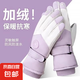 手套女冬季2024新款加絨加厚保暖防寒可觸屏男防風(fēng)電動車滑雪手套 女士紫白(掌圍17-21cm) 【升級加厚/抗風(fēng)蓄熱】 1雙