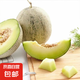 網(wǎng)紋蜜瓜當(dāng)季新鮮正宗網(wǎng)紋瓜香甜冰激凌口感婦幼皆宜 5斤