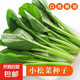 耐高溫蔬菜正宗小菘菜種子四季耐熱速生青菜陽(yáng)臺(tái)青松菜蔬菜種子 小菘菜種子 1包約1000粒