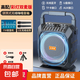 全球音無線藍(lán)牙音箱戶外大音量廣場舞音響聲卡K歌收音機手提便攜式地攤擺攤喇叭收錢碼語音播報器 彩燈雙麥【贈音頻線+背帶+遙控】