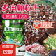 多肉土專用營養(yǎng)土肉肉顆粒土植物種植土鋪面石葉插家用泥炭土大包 【30%顆?！慷嗳馔?0斤