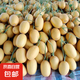 莘縣貝亞芮黃金白玉蜜瓜黃25瓜黃色哈密瓜當(dāng)季水果脆甜蜜瓜 8-9斤