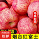 山東煙臺(tái)紅富士棲霞蘋果脆甜條紋片紅蘋果產(chǎn)地直發(fā)脆爽多汁 帶箱8斤單果75mm起 條片紅富士