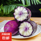 冰淇淋蘿卜新鮮水果蘿卜甜脆型生吃蘿卜種子四季蔬菜營養(yǎng)飽滿蔬菜 冰淇淋蘿卜種子 5袋（500粒）