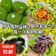 艾草青團(tuán)糯米糍粑特產(chǎn)點(diǎn)心麻薯咸蛋黃肉松丸子零食休閑食品 家庭分享版4盒1032g-24個(gè) 傳統(tǒng)口味-黑芝麻味