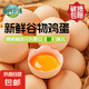 農(nóng)家新鮮散養(yǎng)雞蛋單枚50g±5g谷飼蛋初生蛋溏心蛋早餐生鮮買(mǎi)菜 10枚