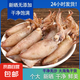海兔干貨 筆管魚(yú)干貨滿(mǎn)籽小魷魚(yú) 500g