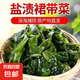 鹽漬裙帶菜新鮮海帶涼拌菜海帶苗火鍋煲湯食材裙帶菜嫩芽一等品 鹽漬裙帶菜500g×1包