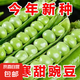 甜脆青豌豆種子豌豆種籽臺(tái)灣長(zhǎng)壽豆仁碗豆孑老品種碗豆種籽蔬菜籽 甜脆豌豆種子 5包約150粒