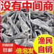 干海帶頭霞浦海帶特產(chǎn)日曬干貨批發(fā)特厚昆布厚實(shí)涼拌燉湯久誠(chéng) 【精選沖量】海帶短頭50g*1袋